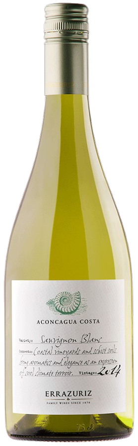 Errazuriz Aconcagua Sv Sauvignon Blanc