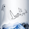 Grey Goose