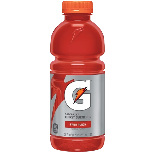 Gatorade Fruit Punch