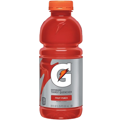 Gatorade Fruit Punch